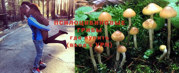 эйфоретик Армянск