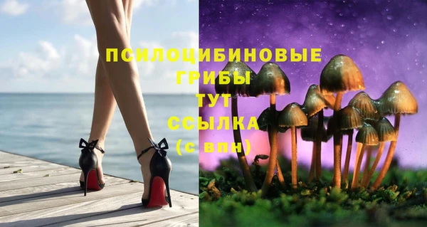 СК Лиски