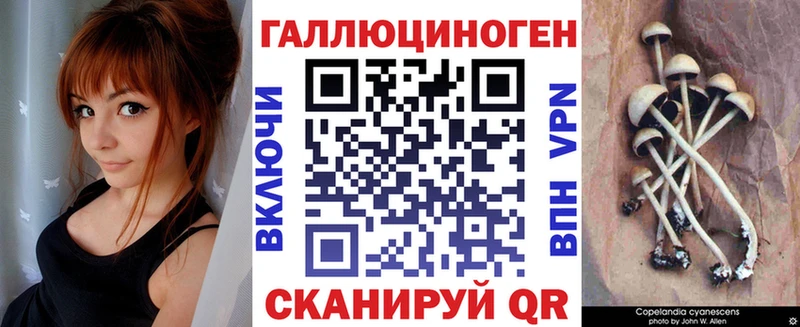 Галлюциногенные грибы Psilocybe  Новороссийск 