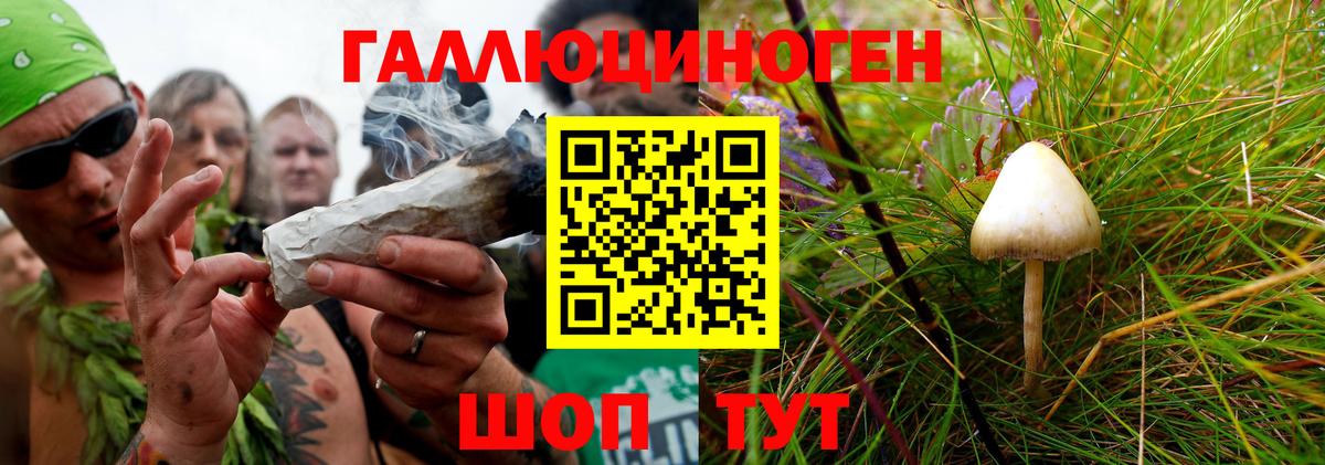 Псилоцибиновые грибы MAGIC MUSHROOMS Новороссийск