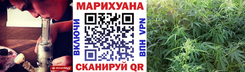 МАРИХУАНА планчик  Новороссийск 